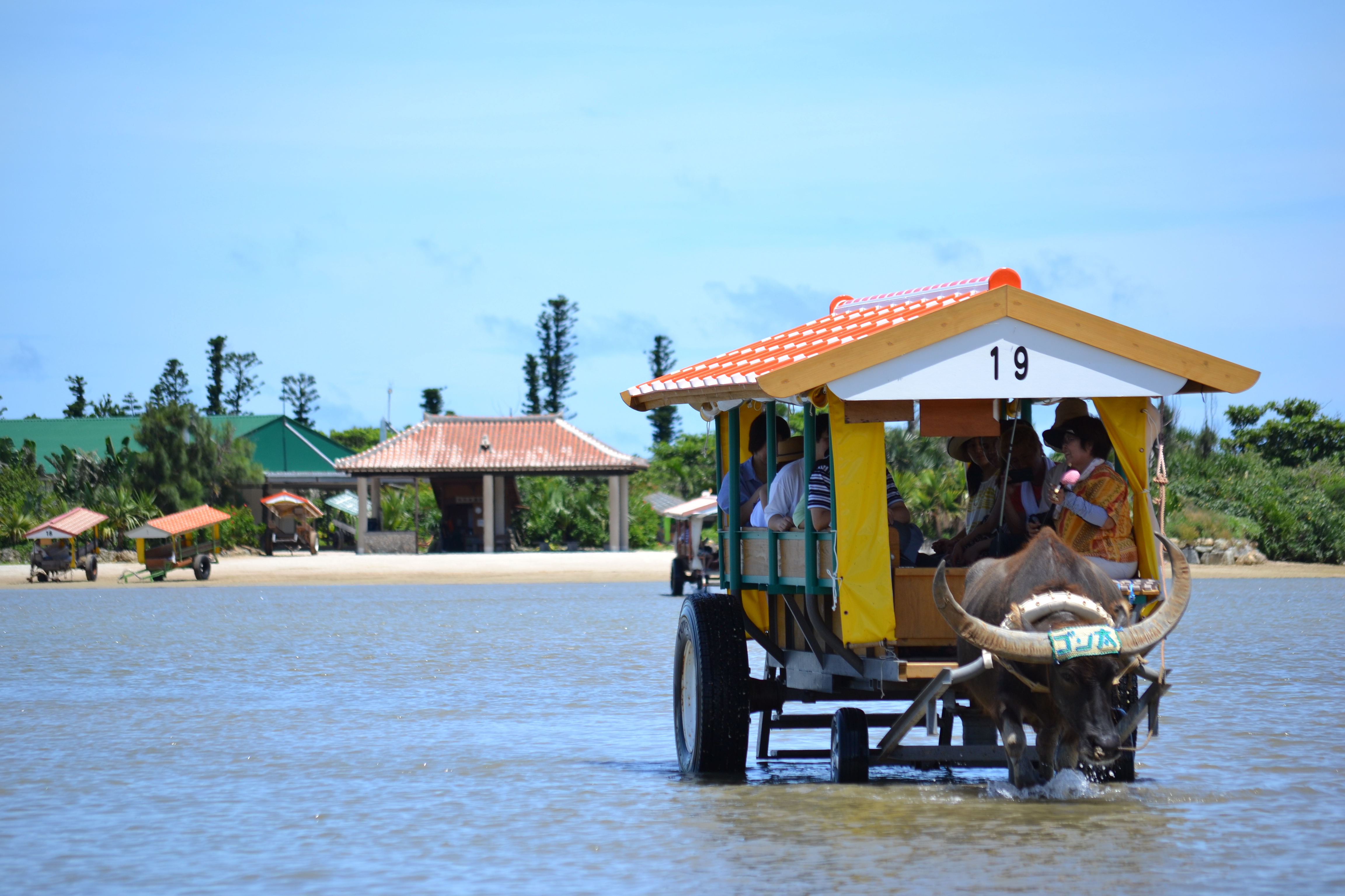 C27 小孩家庭專用行程 獨木舟 瀑布底玩水or由布島水牛車植物園 石垣旅行社